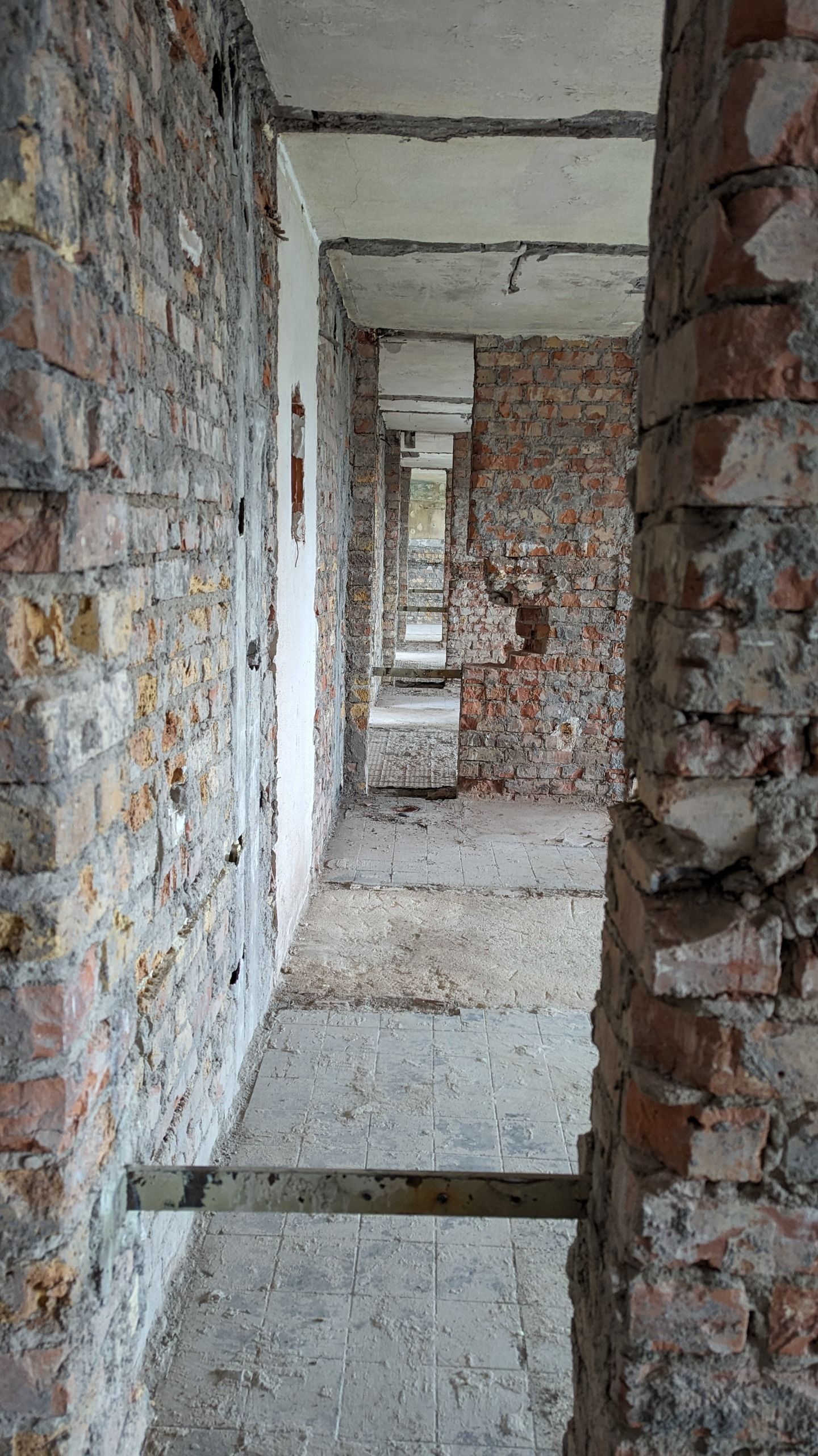 Bautenstand 03/2024 Bild Nr. 5