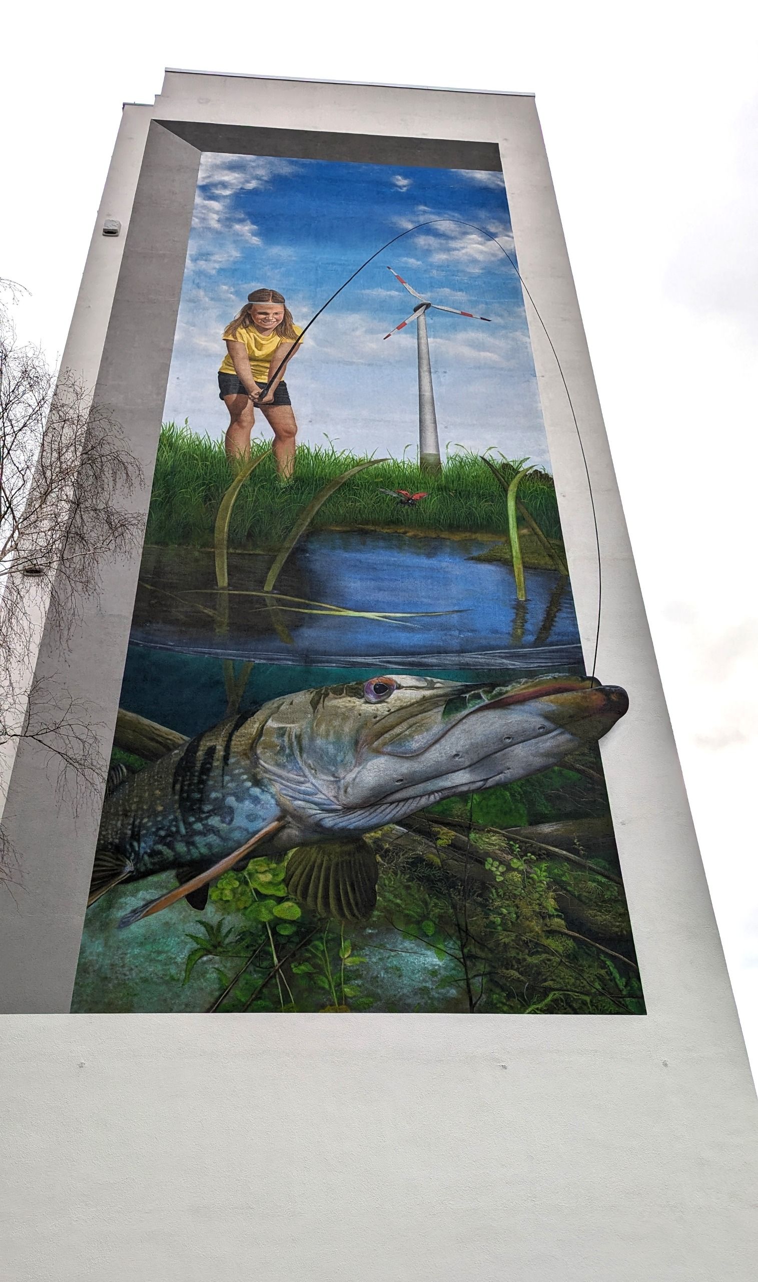 Bautenstand 02/2024 Bild Nr. 1