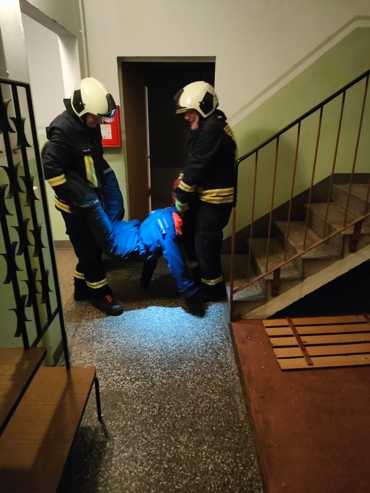 Bildergalerie Bild Nr. 2