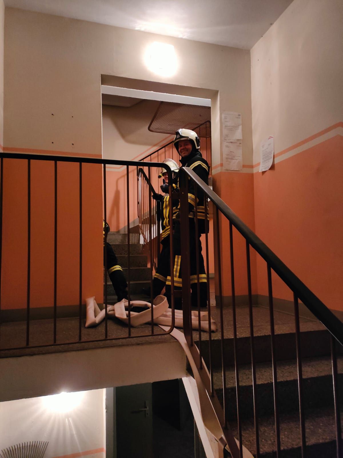 Bildergalerie Bild Nr. 5