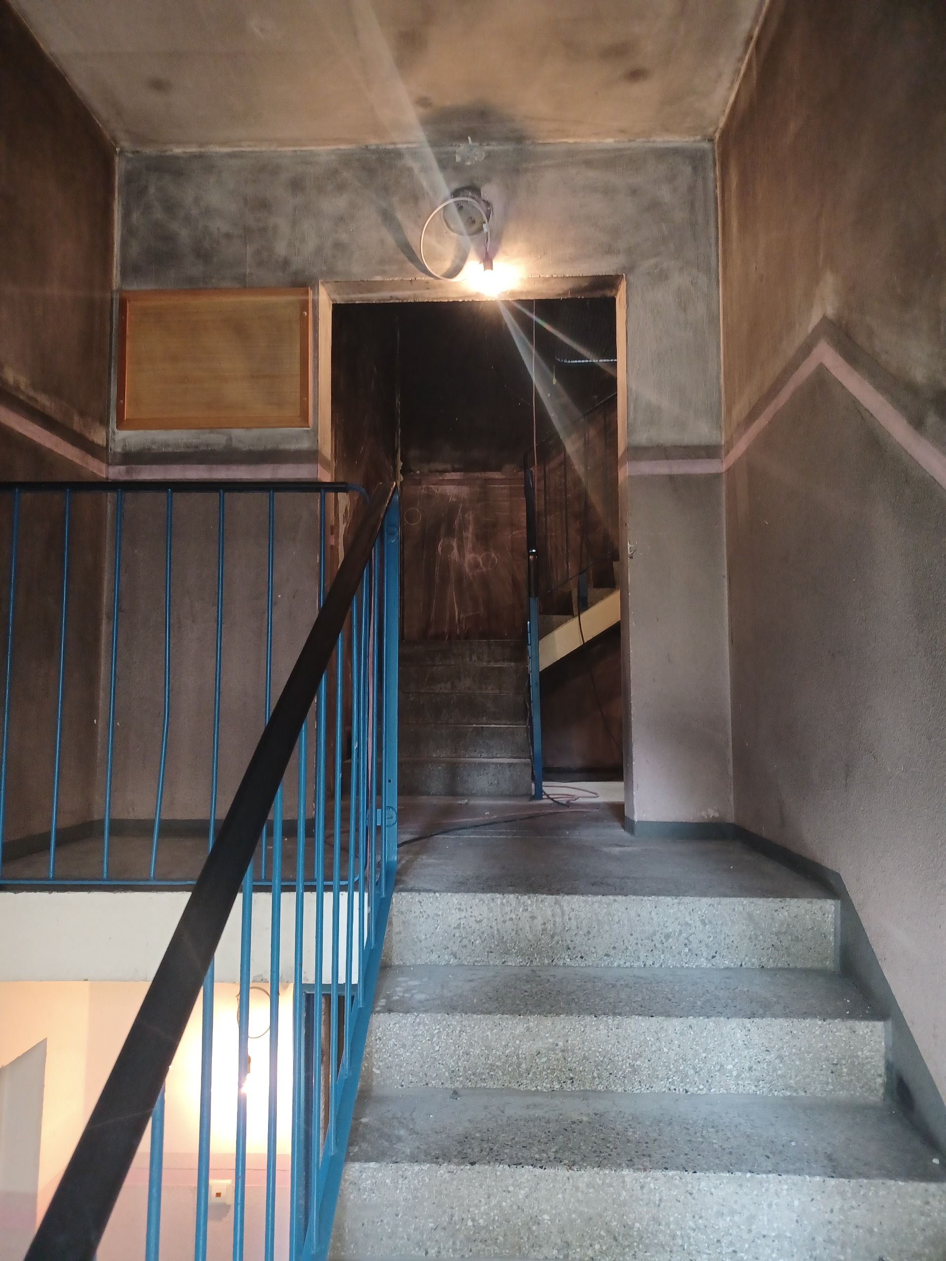 Lustgartenstraße 13_1